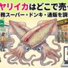 子持ちヤリイカどこで売ってる